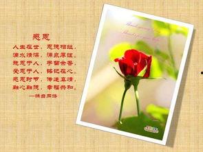 感恩贵人图片,描绘友谊与恩情的珍贵瞬间